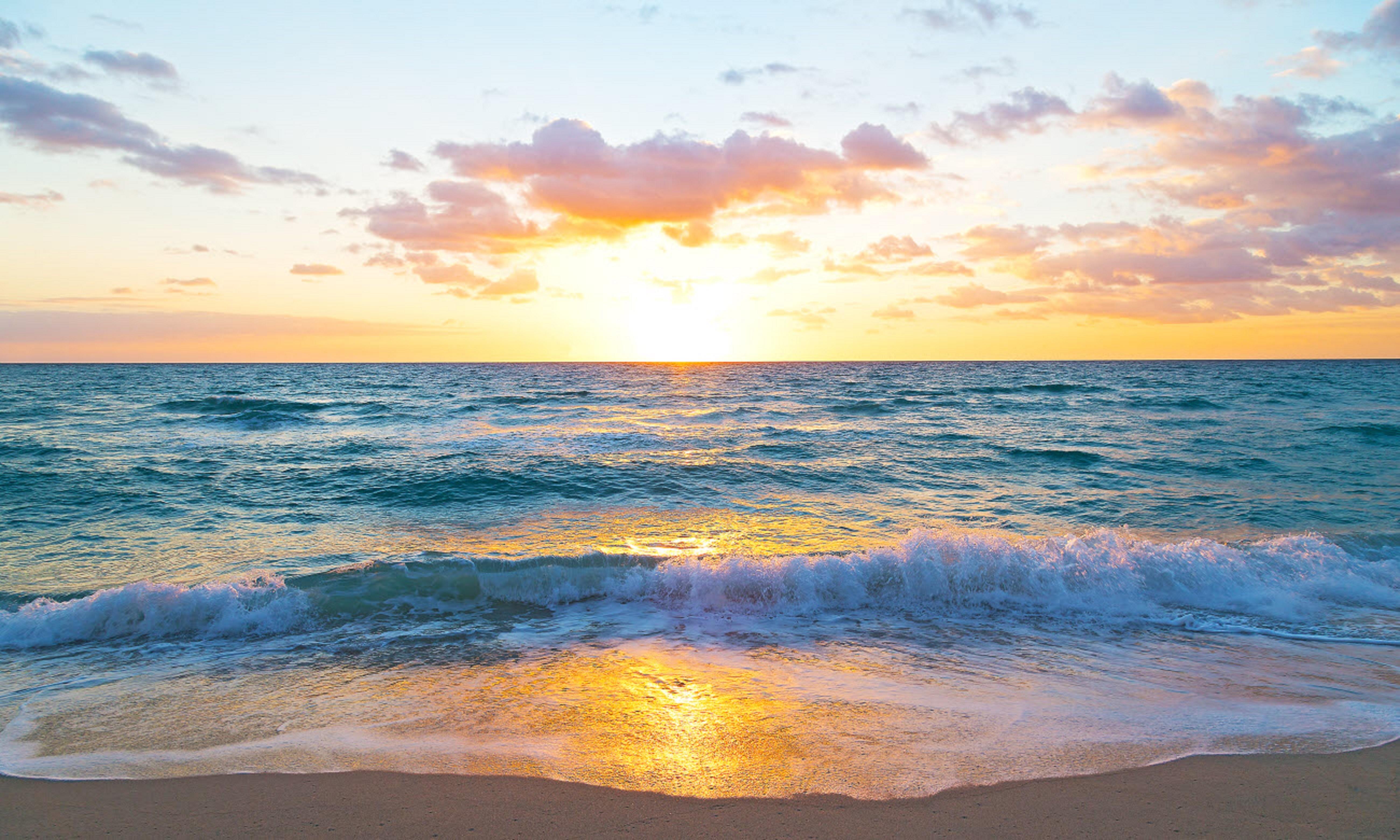Tideline Palm Beach Ocean Resort And Spa Exteriör bild